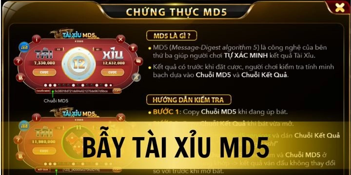 Cách né bẫy Tài Xỉu MD5 - Bí quyết chơi thông minh để thắng lớn